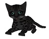 Black Teal Kitten Kisses