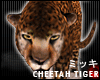 ! Cheetah Animated Tiger