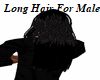 Long Hair (M)