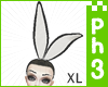 :|~Bunny  XL