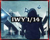 Alan Walker-Infinite Way
