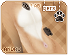 [Pets]Phar|andro kini v2