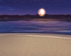 moonlight beach toom