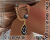 Untameable earrings