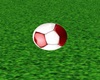 Soccer Ball w/Red