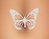 LS Butterfly Belly