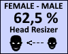 Head Scaler 62,5%