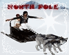 Wolf Race - NORTH POLE