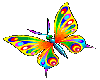 {~} Butterfly animated