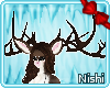 [Nish] Dasher Antlers 3