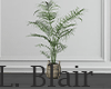 Plant | V13
