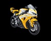 CR 1000R SI