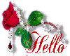 Red Rose Hello animated