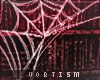 ░ Spiderweb 3﹗