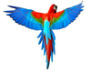 Flying Blue Macaw