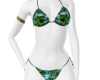 Palm Beach Bikini