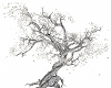 Tree of life