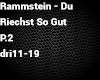 Rammstein-Du Riechst P2