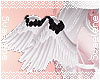 Rose Angel Wings |BW1