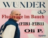 FlugzeugeImBauch(FIB1-11