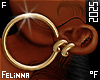 ℉ Gold Hoops DRV