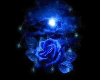 (SA)Blue Rose Swing