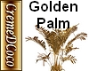 CDC-Plant-Palm Gold