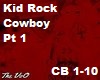Kid Rock Cowboy