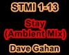Dave Gahan-Stay (MIX)