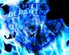 ~Sot~ 911 NYPD Picture