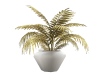 White Vase/plant 2