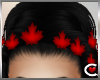 *SC-Hair Maple Leafs