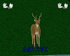 forest deer animated