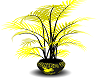 ~milk32~blk&yellow plant