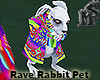 Raver Rabbit Pet Anim