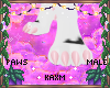 ꨄBlossom Pawsꨄ