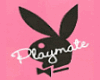Playboy Pink Hammock
