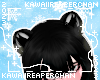 K| Bear Ears Black