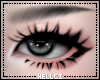 ✮ Gray Eyes