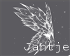 ^J Snow wings