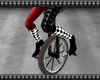 Harliquin Unicycle