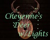 Cheyenne's Deer w/Lights