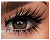 ::SG:: Zell Lashes 01