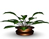 brown vase plant 