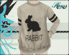 HI ◄ Rabbit ►