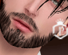 -P- Beard Natural