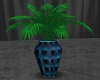 !!Blue Lobby Palm!!