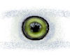 (MT)Jade Eyes