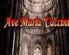 Ave Maria  (Epic)