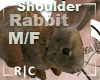 R|C Real Rabbit Brown MF